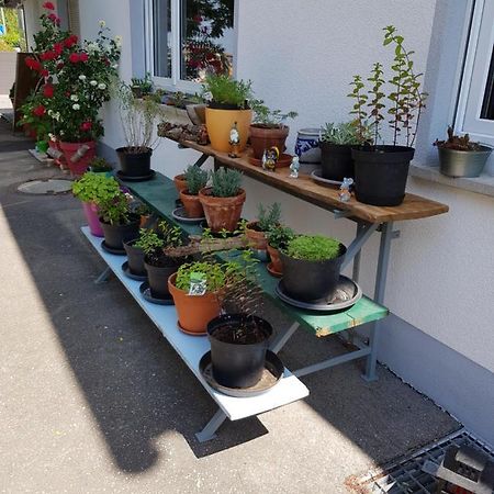 Ferienwohnung Namaste Langenargen Kültér fotó