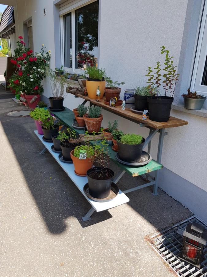 Ferienwohnung Namaste Langenargen Kültér fotó